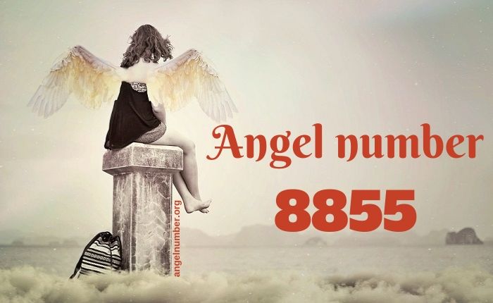 8855 Numero dell'Angelo - Significato e simbolismo