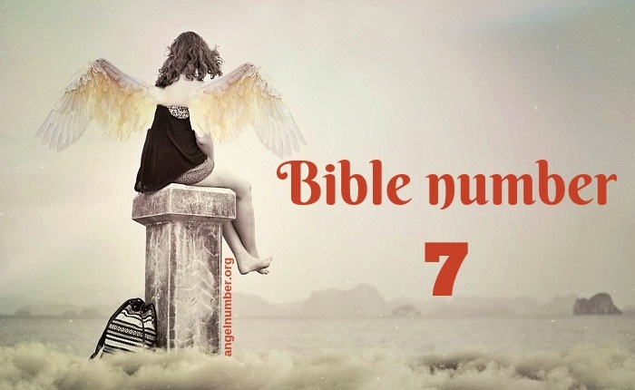 Che cosa significa il numero 7 nella Bibbia e in senso profetico?